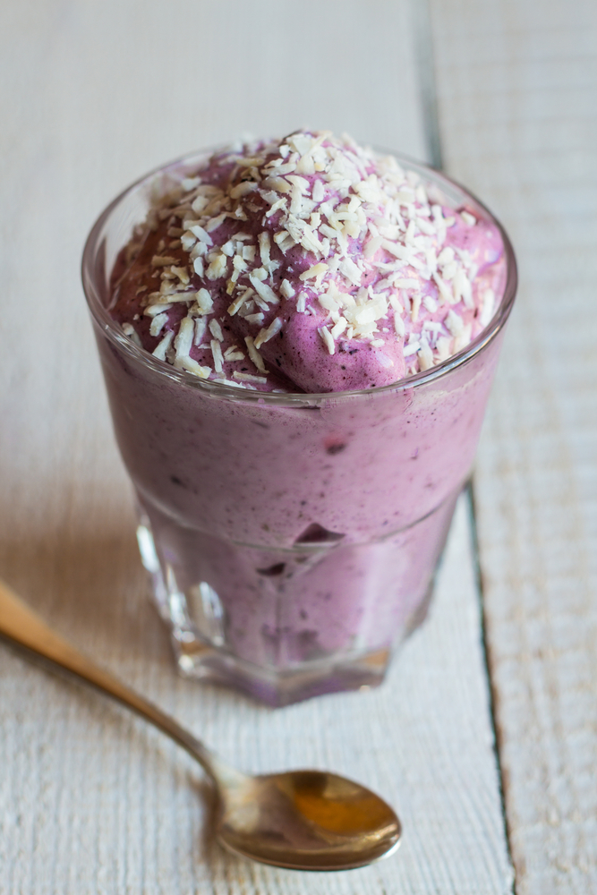 Lemon Blueberry Coconut Smoothie  All Nutribullet Recipes